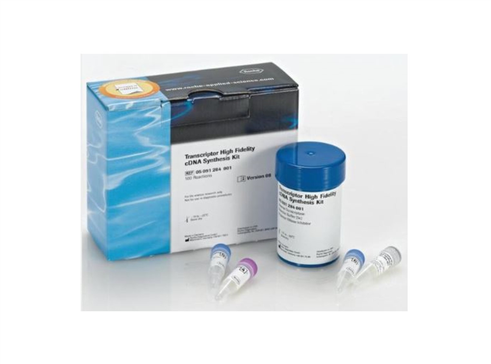 Picture of Transcriptor High Fidelity cDNA Synthesis Kit